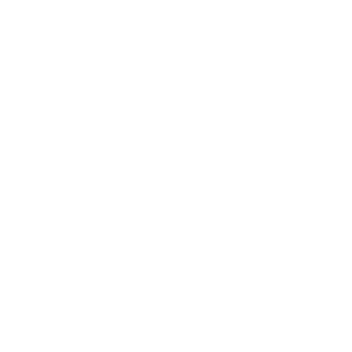 Facebook CIJ