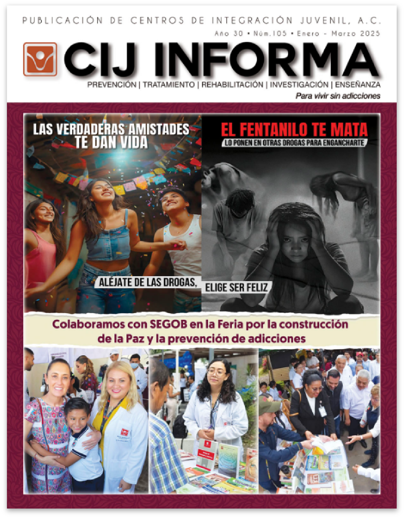 Revista CIJ