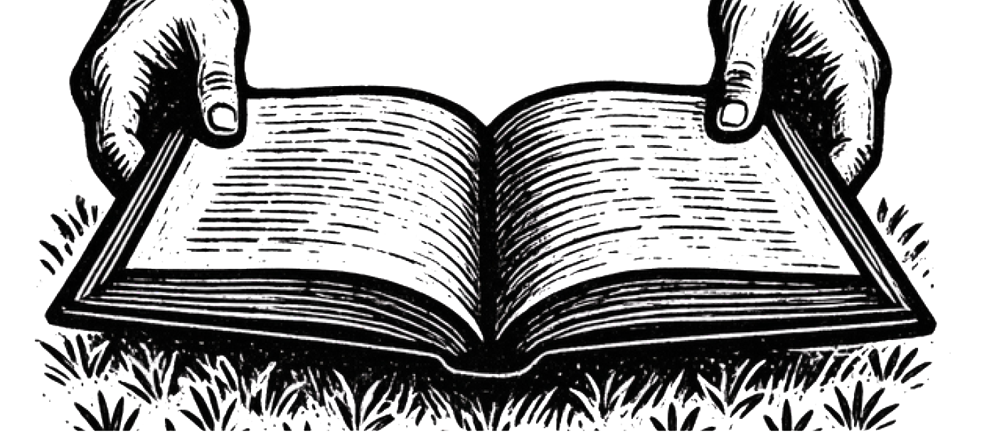 Literatura (cuento)