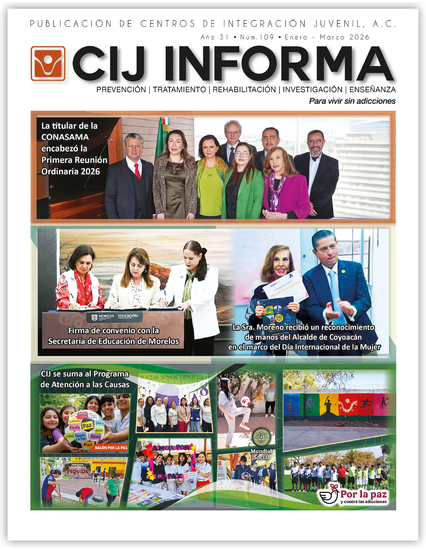 Revista CIJ
